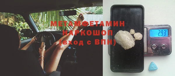 трава Балахна