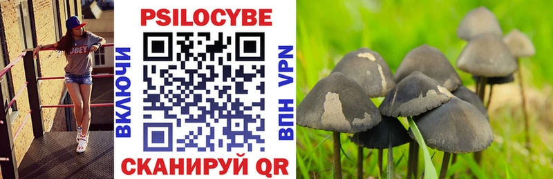 это состав  Свободный  Галлюциногенные грибы Psilocybine cubensis 